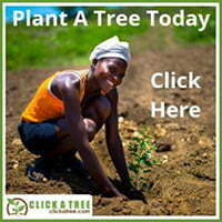 Plant a Tree Today Click a Tree